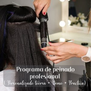 Programa de peinado profesional (PERSONALIZADO TEORIA+DEMO+PRACTICA)