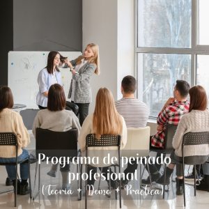 Programa de peinado profesional (TEORIA+DEMO+PRACTICA) (copia)