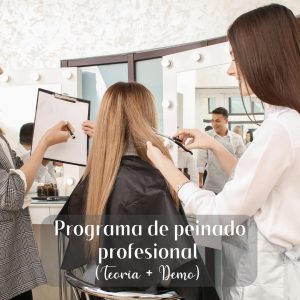 Programa de peinado profesional (TEORIA +DEMO)