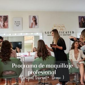 Programa de maquillaje profesional (GRUPAL TEORIA +DEMO)
