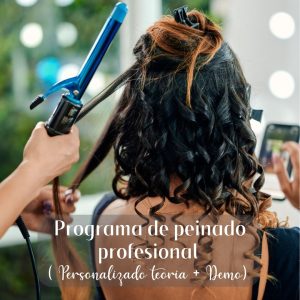 Programa de peinado profesional (PERSONALIZADO TEORIA+DEMO)